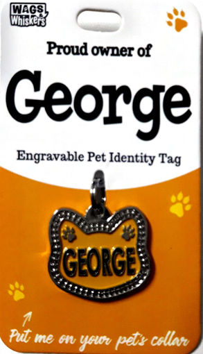 Picture of GEORGE CAT BLANK ID TAG